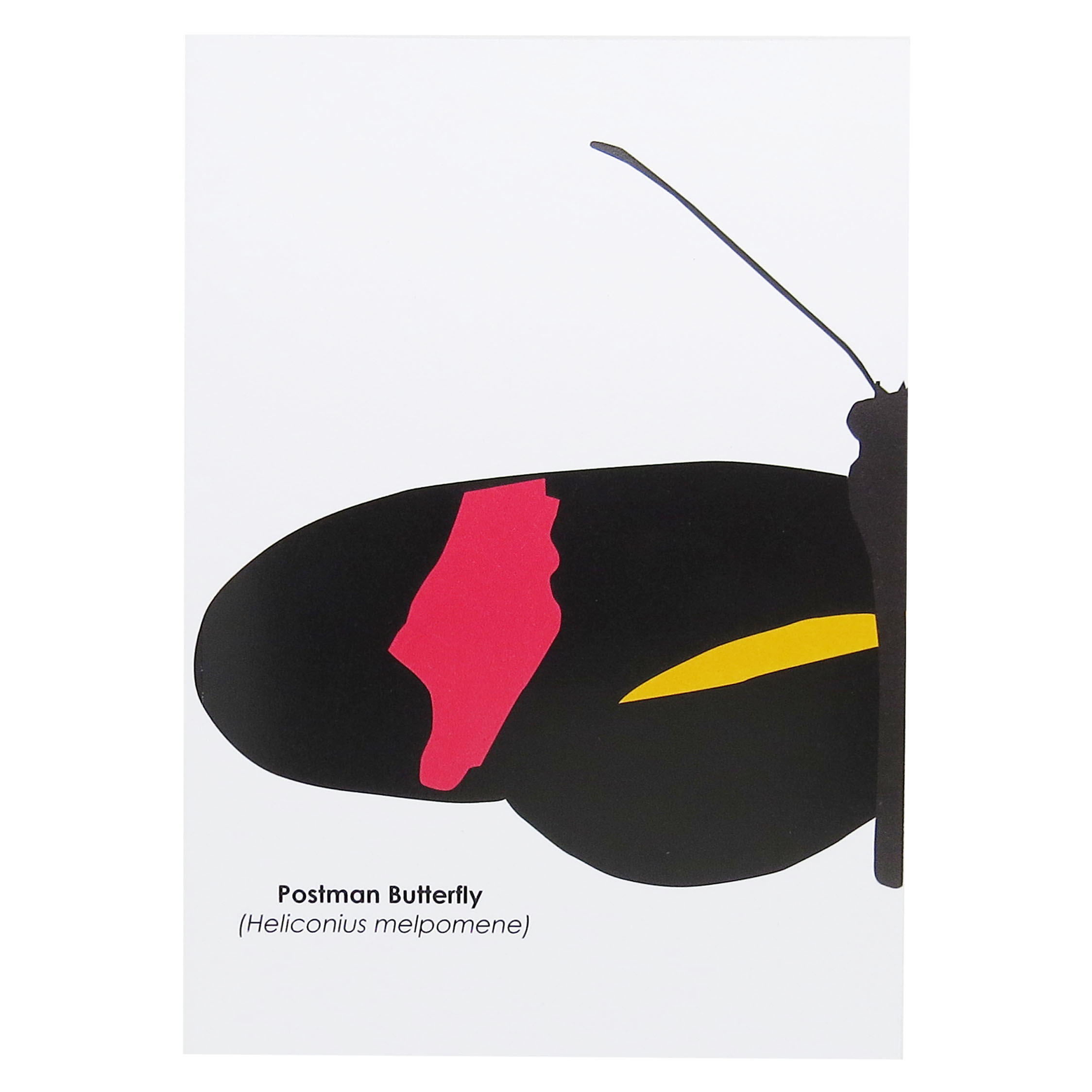 Robert William A5 Tropical Butterflies Postman Notebook