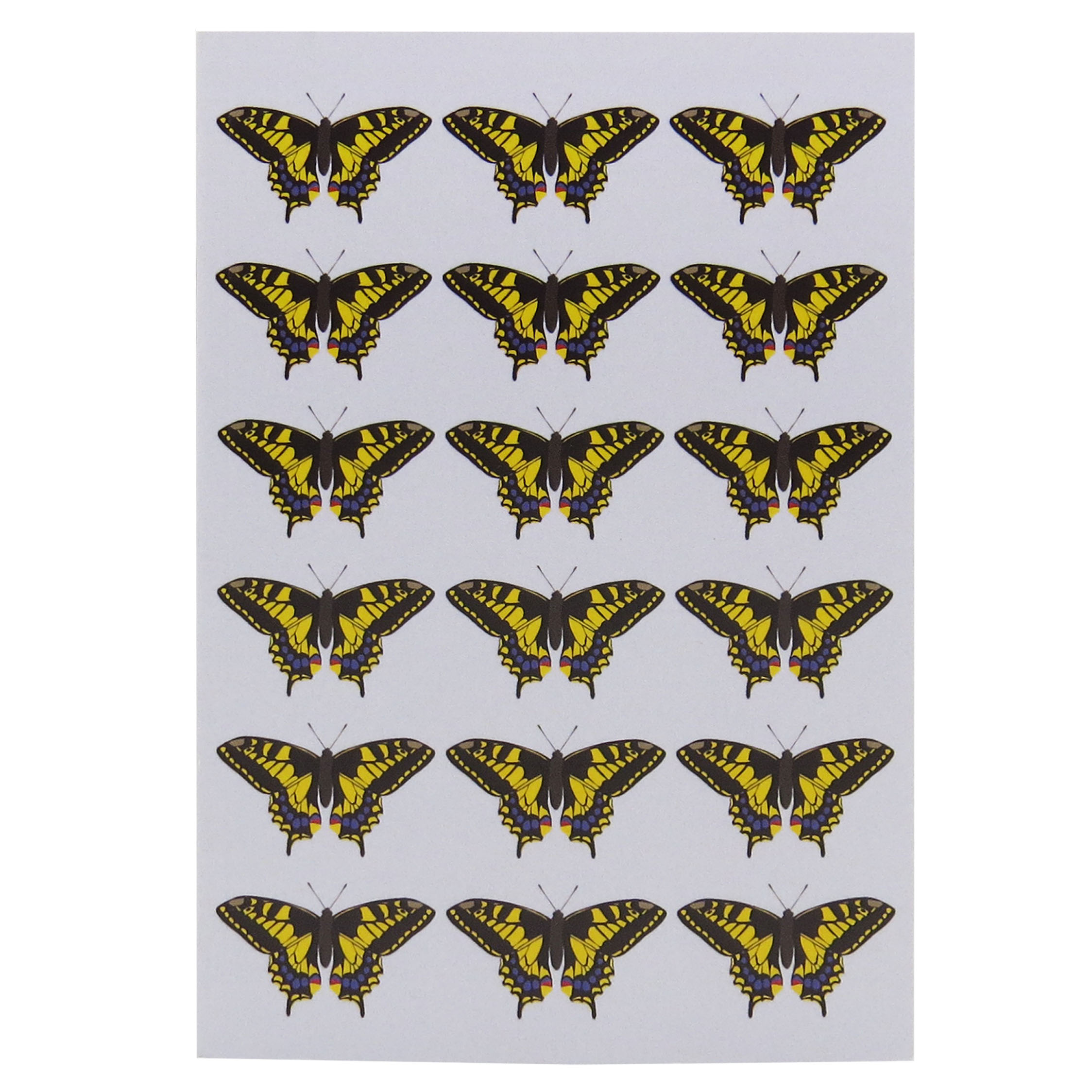 Robert William A6 British Butterflies Swallowtail Notebook
