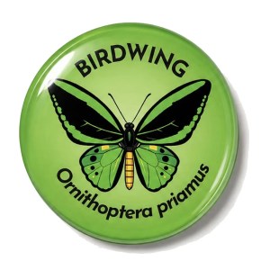 Birdwing Butterfly 50mm Large Magnet