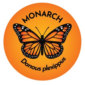 Monarch Butterfly Coaster
