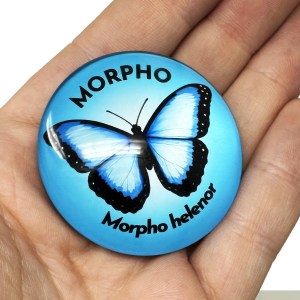 Alternative view of Morpho Butterfly 50mm Large Magnet