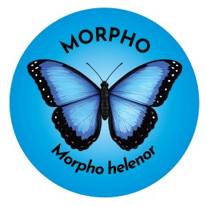 Morpho Butterfly Coaster