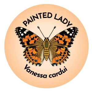 Painted Lady Butterfly Coaster