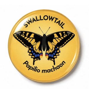 Swallowtail Butterfly 50mm Large Magnet
