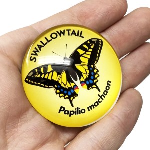 Alternative view of Swallowtail Butterfly 50mm Large Magnet