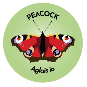 Peacock Butterfly Coaster