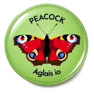 Peacock Butterfly 50mm Large Magnet