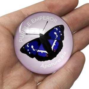Alternative view of Purple Emperor Butterfly 50mm Large Magnet