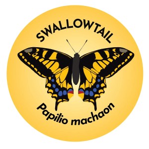 Swallowtail Butterfly Coaster