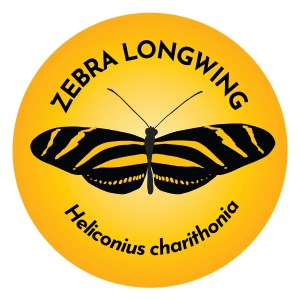 Zebra Butterfly Coaster