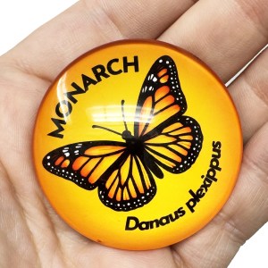 Alternative view of Monarch Butterfly 50mm Large Magnet