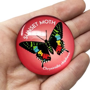 Alternative view of Sunset Moth 50mm Large Magnet