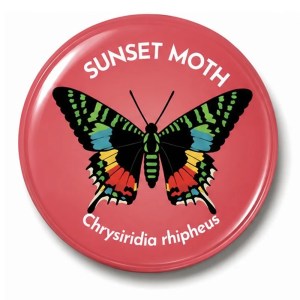 Sunset Moth 50mm Large Magnet