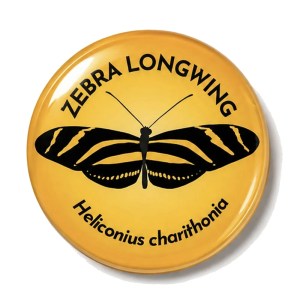 Zebra Butterfly 50mm Large Magnet