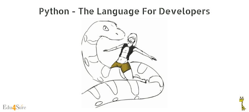 Learn About Python The Language Loved By Developers Corporate - Premium Landscape Image Gallery - Desktop