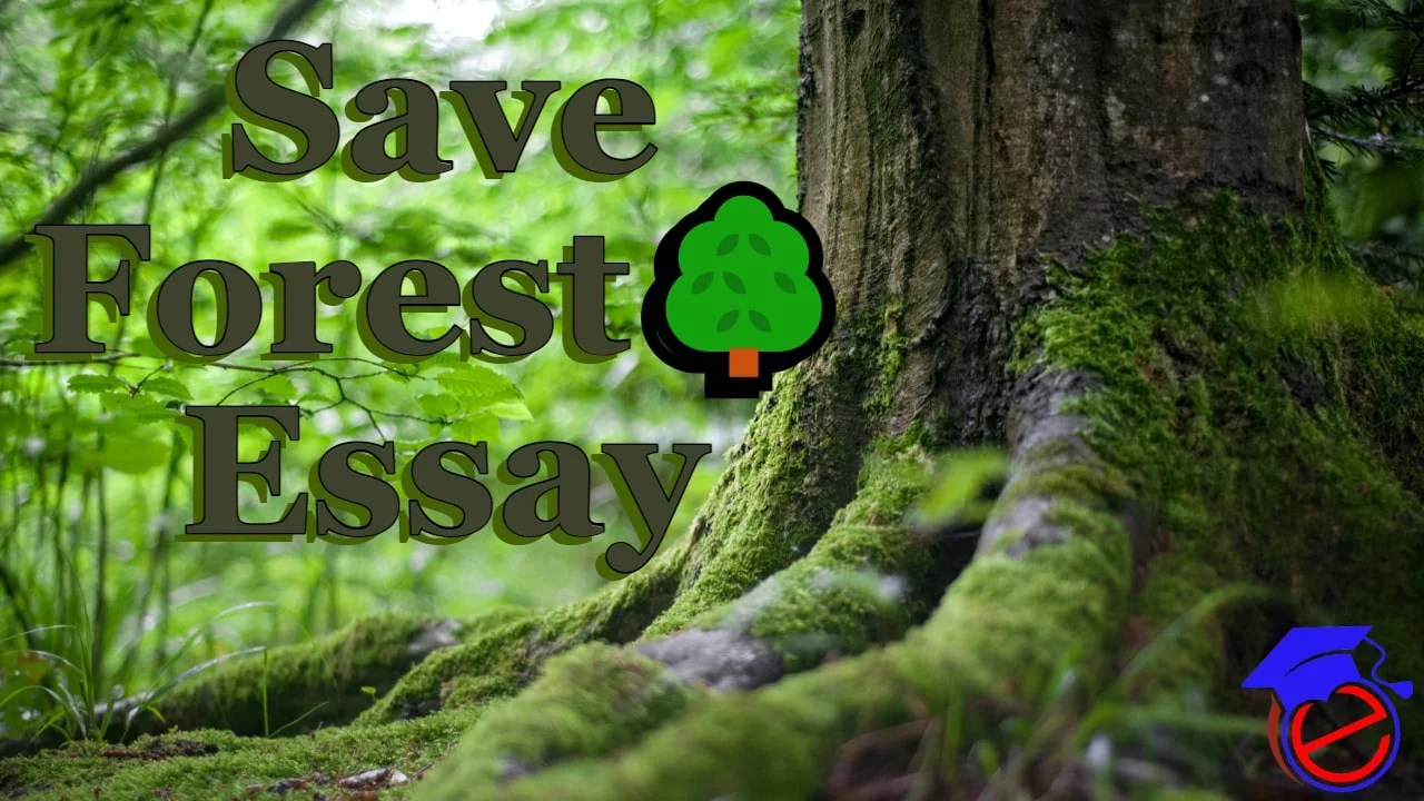 need to preserve forest essay