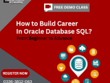 Oracle Sql Database Training Course Certification Oracle Dba In