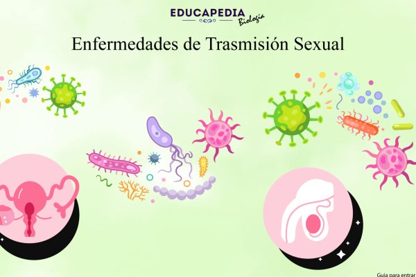 Enfermedades de Trasmisión Sexual