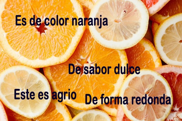 Discurso descriptivo