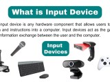 Input Devices Of Computer Input And Output Device Of Computer