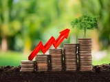 The Difference Between Income Vs Growth Investing