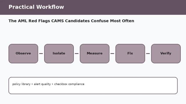 The AML Red Flags CAMS Candidates Confuse Most Often A065 workflow 1 The AML Red Flags CAMS Candidates Confuse Most Often — practical workflow
