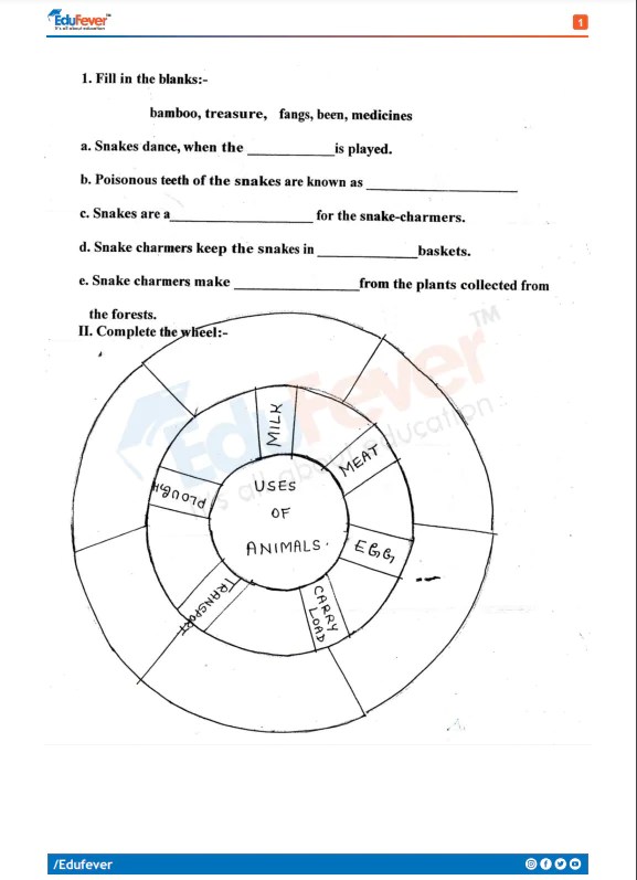 [updated] cbse class 5 evs practice worksheet 2024-25 session in pdf