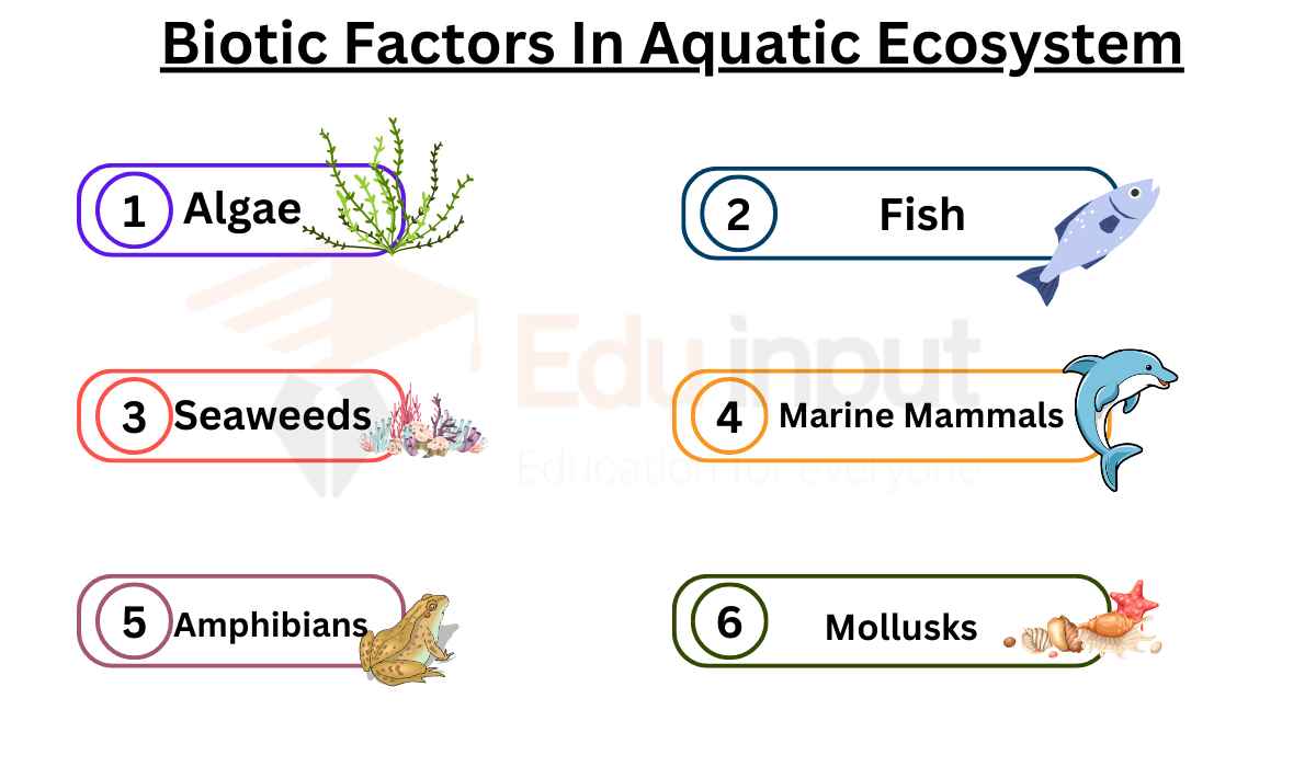 Biotic factors in aquatic ecosystem