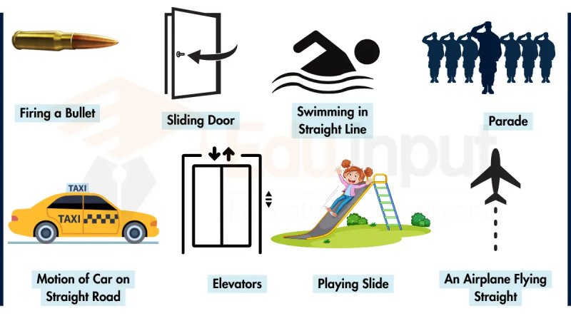 7 Examples of Newton's first law in everyday life.