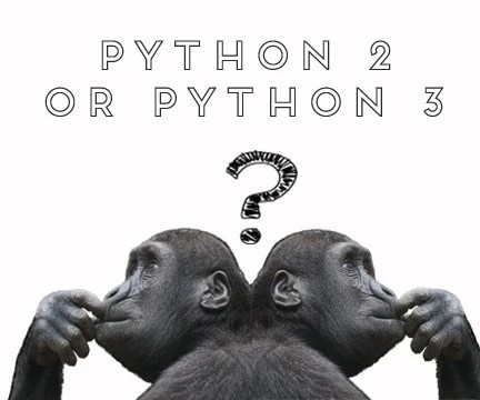 Python 2.x or Python 3.x