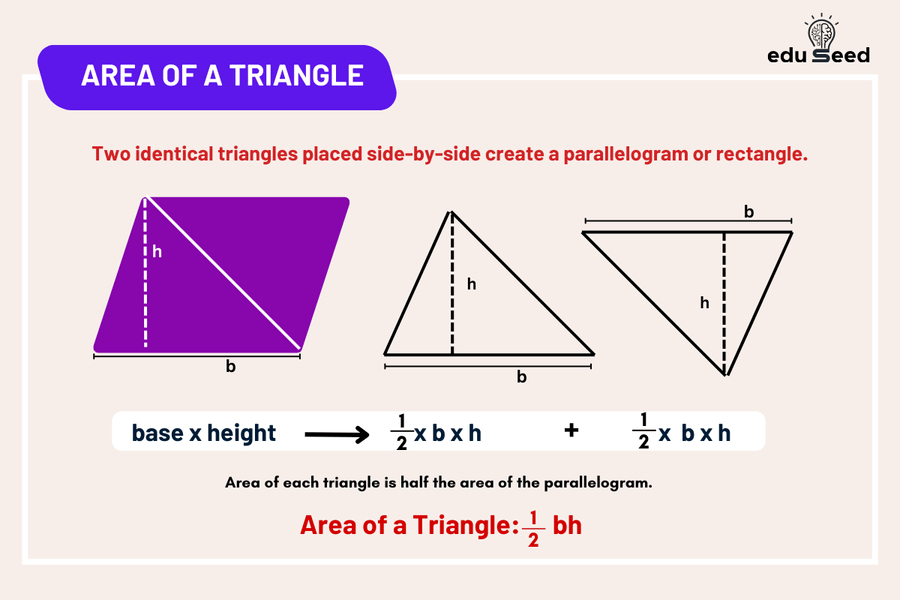 calculating the area of a triangle, half the base times the height.
