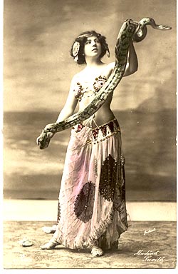 Distressing Video Shows Circus Trainer Strangled To Death Giant Snake In Front Of Horrified Children And Parents Confusing and contradictory reports coming out of Russia suggest the circus animal trainer has been killed.