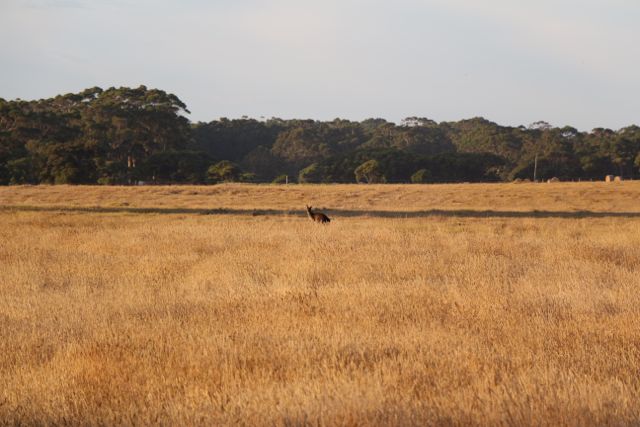 Family Travel Australia