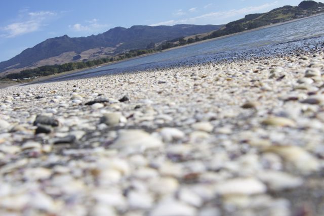 Family Travel New Zealand