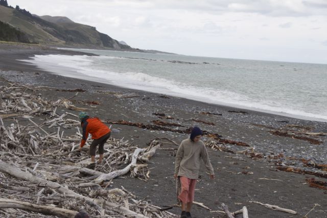 Family Travel New Zealand