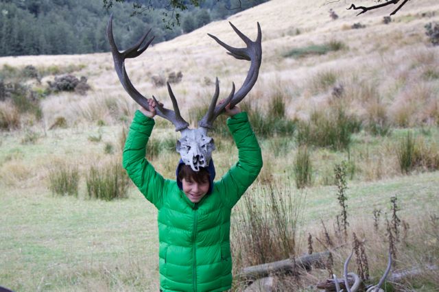 Family Travel New Zealand