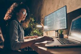 application developer