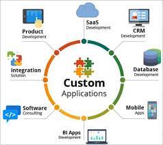 custom software application development