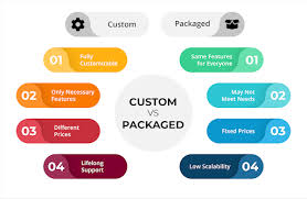 customized software development