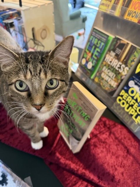 Spellbinding Stories: Spooky book recommendations from Spines & Spirits