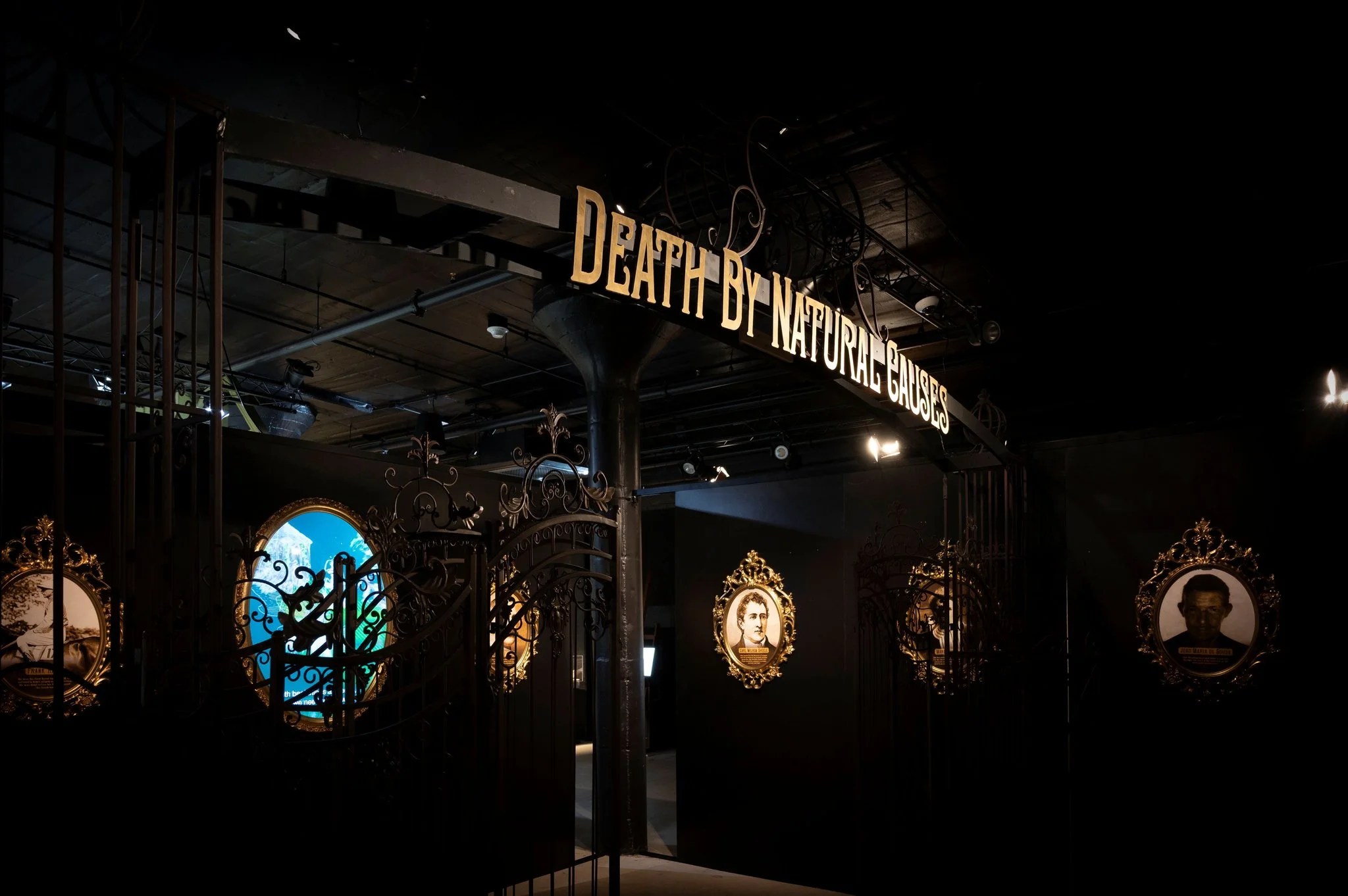 Death by Natural Causes: Saint Louis Science Center announces new exhibition