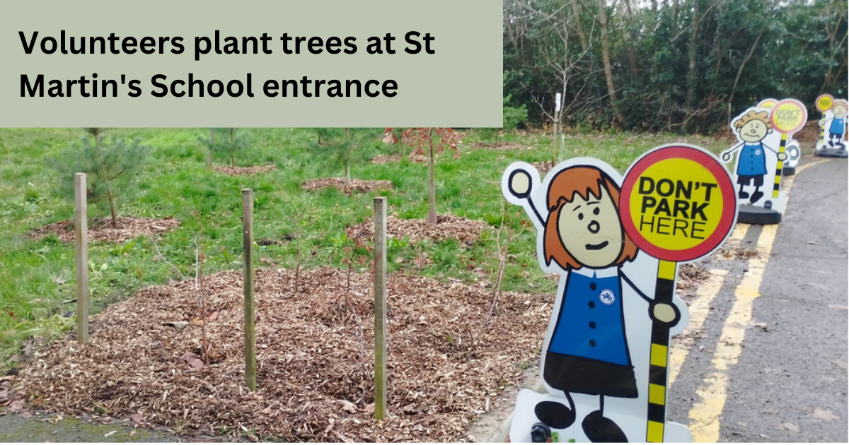 mulched trees in grass near a roadside