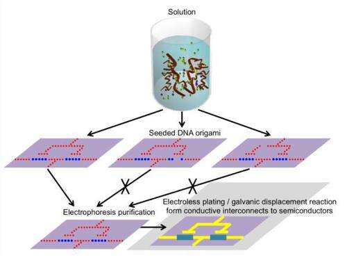Semiconductor Ramp Synthetic Biology Ramps Semiconductors - EE Times