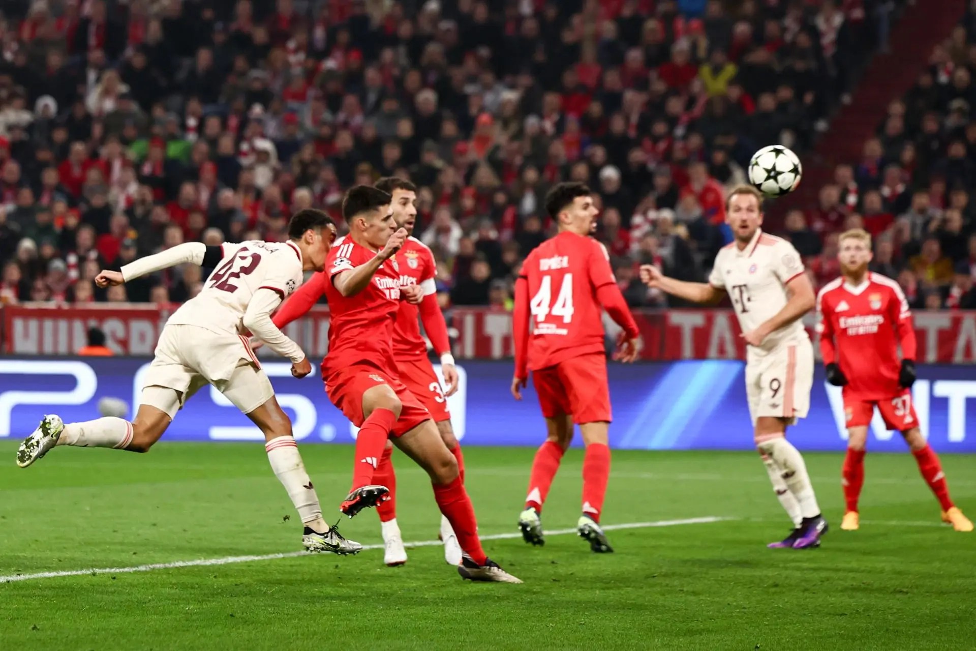 Jamal Musiala (L) of Munich scores the 1-0 goal during the UEFA Champions League match between FC Bayern Munich and S.L. Benfica, in Munich, Germany, 06 November 2024. (Liga de Campeones, Alemania) EFE/EPA/ANNA SZILAGYI

