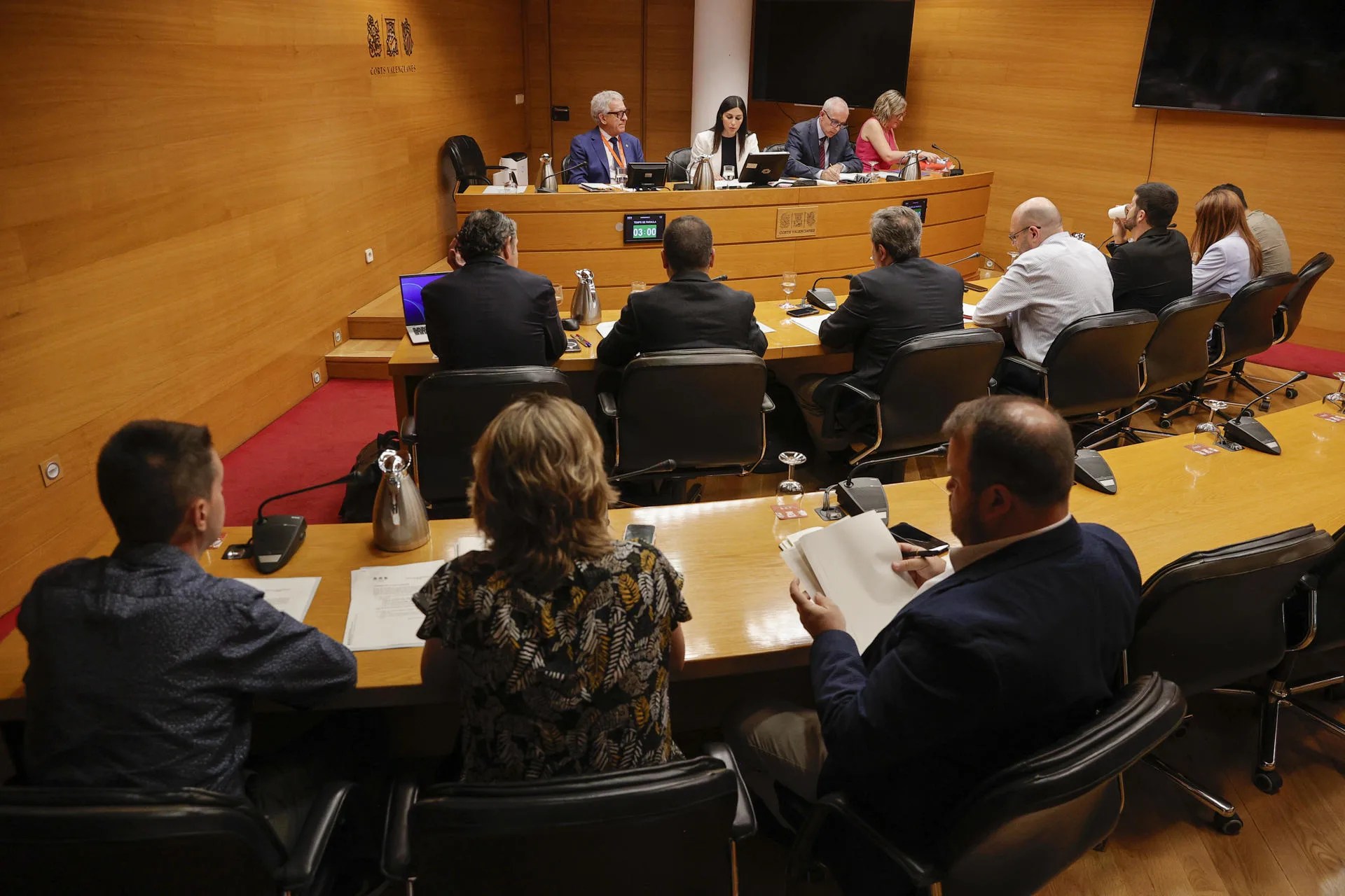 La comisión de investigación de Les Corts Valencianes sobre la dana del 29 de octubre. EFE/Manuel Bruque
