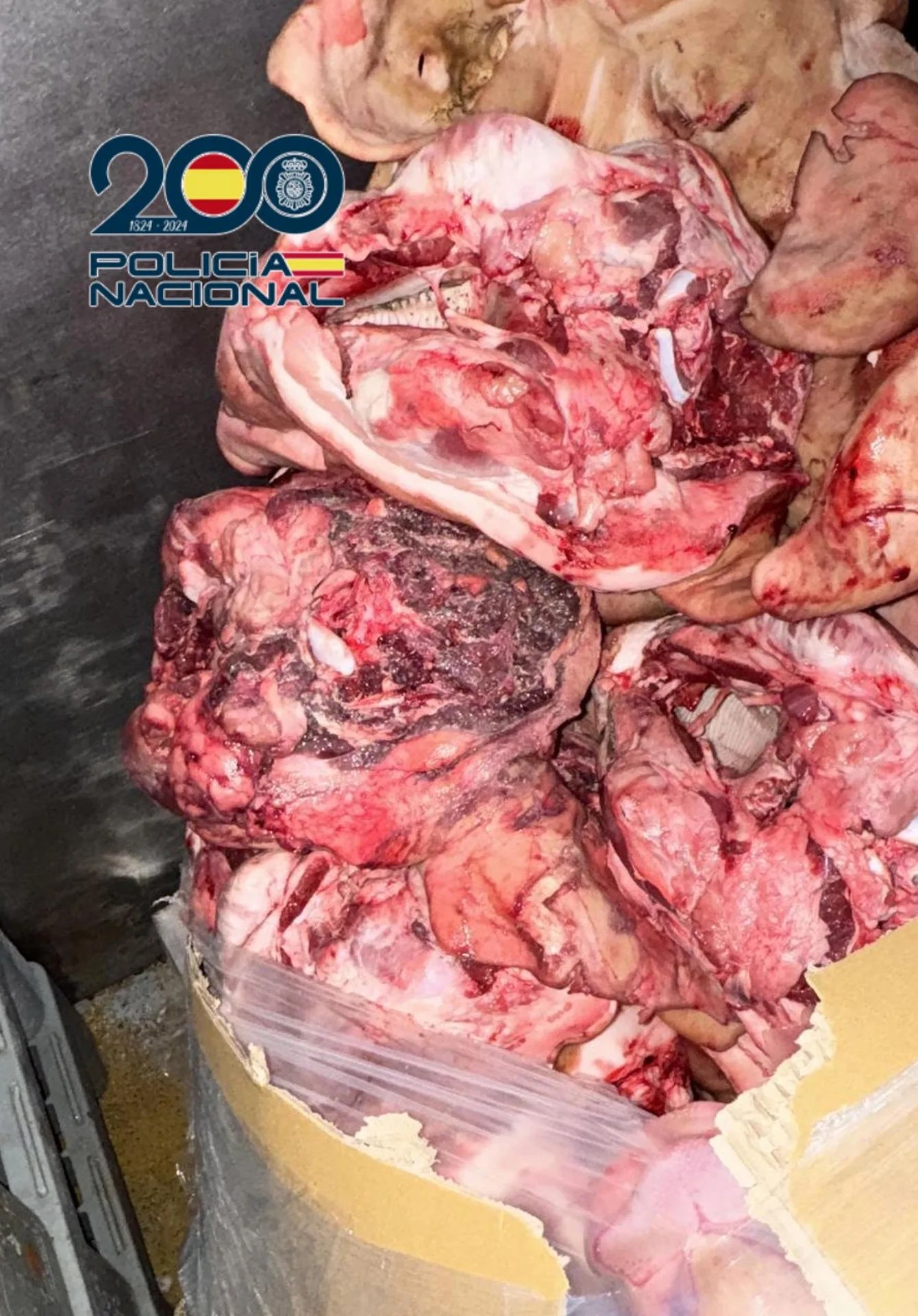 La Policía Nacional ha detenido a un empresario de la localidad madrileña de Leganés por distribuir supuestamente carne en putrefacción que adulteraba con productos químicos, como sulfitos y blanqueantes de construcción que se utilizan habitualmente para alisar paredes. EFE/Policía Nacional 
*SOLO USO EDITORIAL/SOLO DISPONIBLE PARA ILUSTRAR LA NOTICIA QUE ACOMPAÑA (CRÉDITO OBLIGATORIO)*
