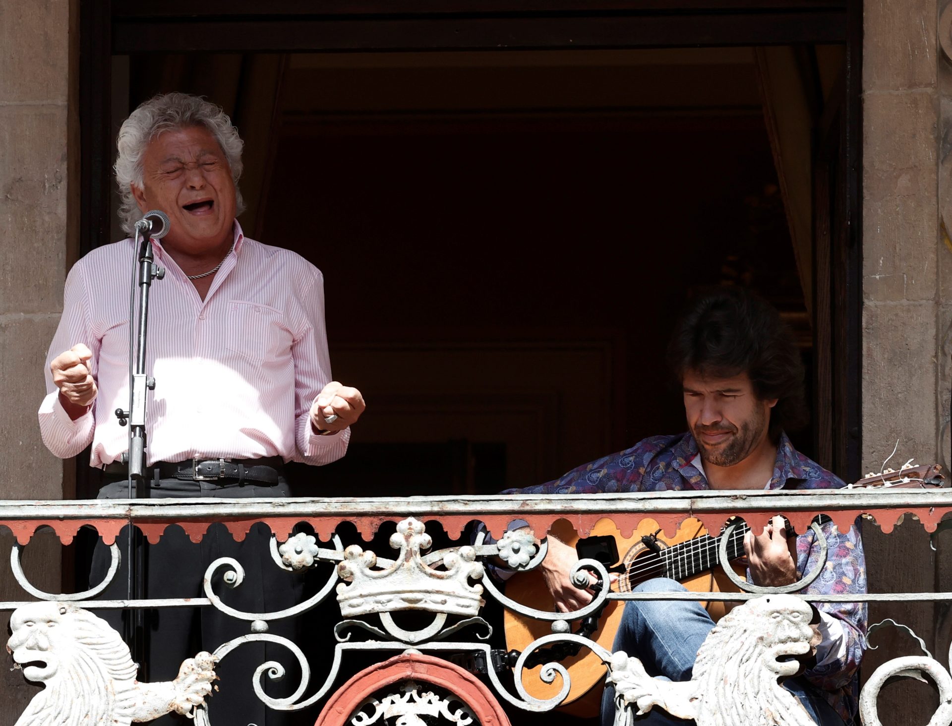 Pansequito en Pamplona