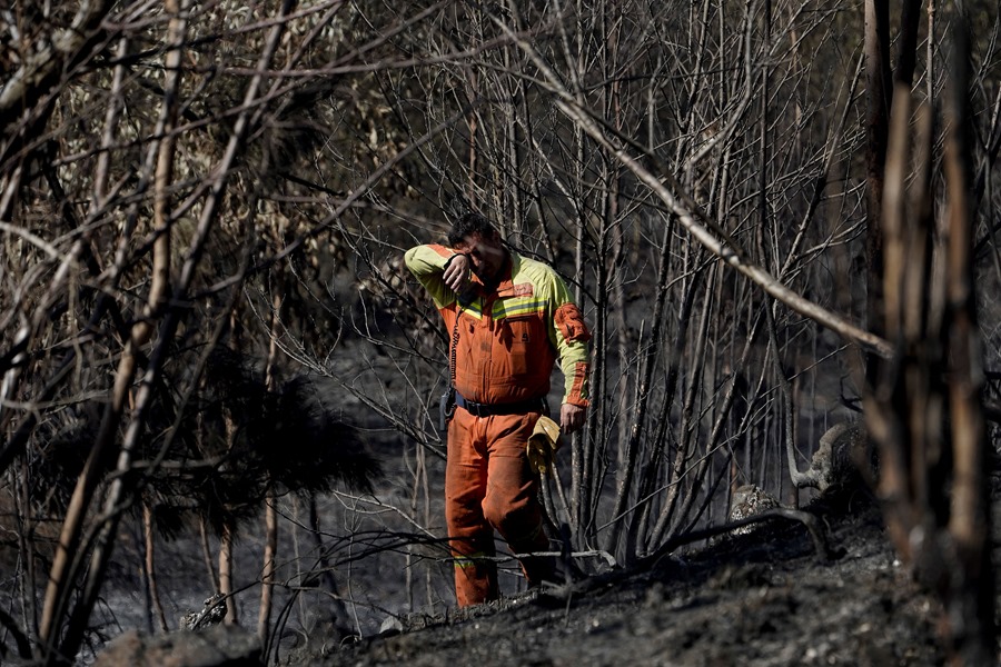 Identificados cinco presuntos incendiarios en Asturias y se investiga a diez más