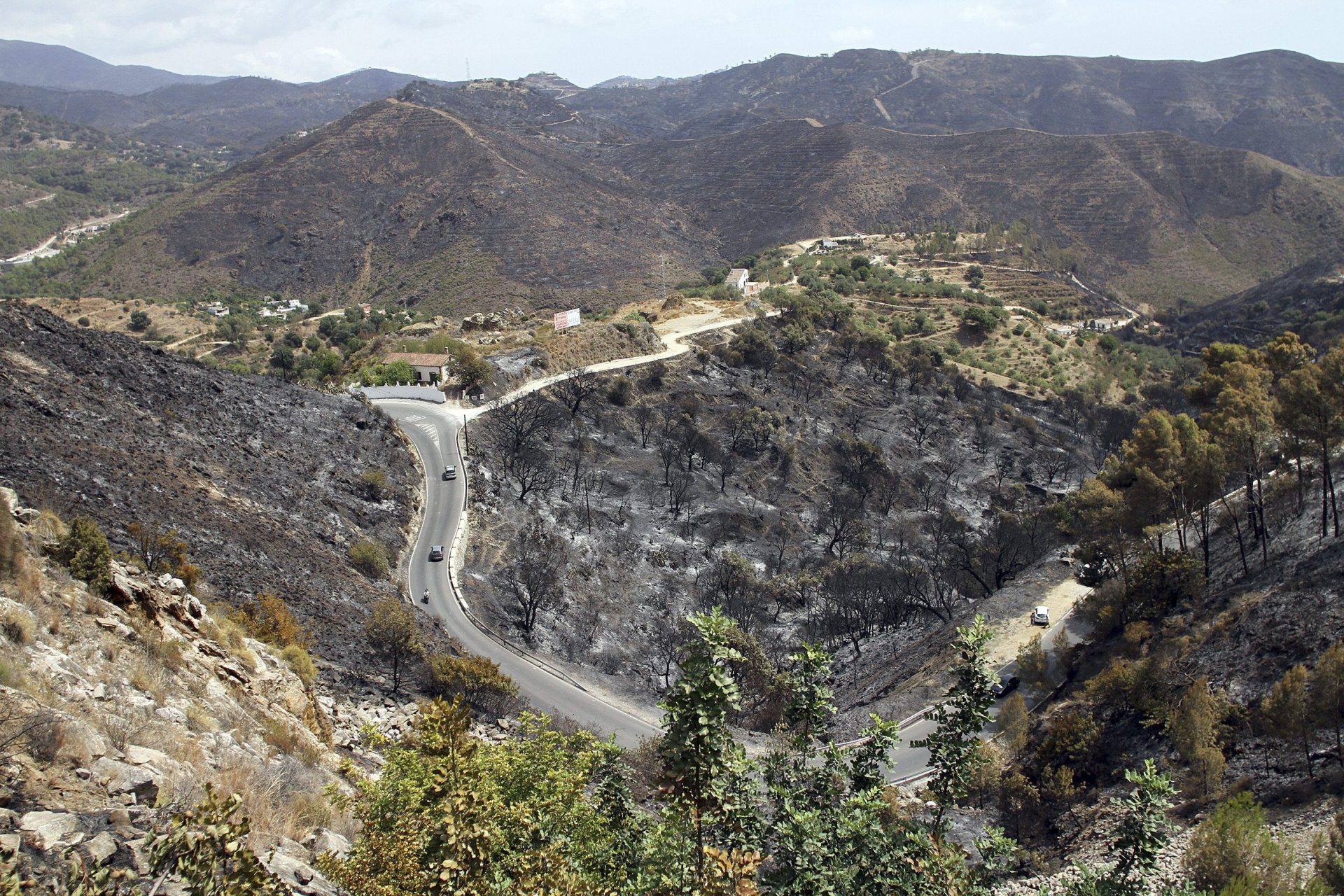 absuelto fuego