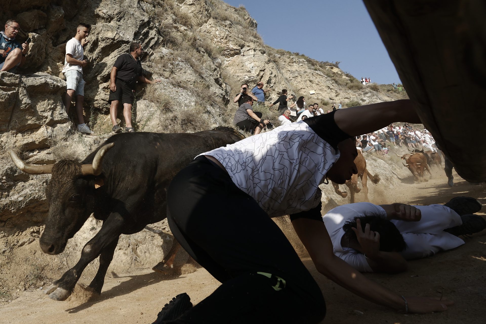 Imagen de un lance de la primera carrera de 2023 de los encierros del Pilón de Falces